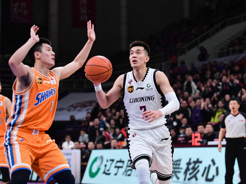 为用户提供 为用户提供